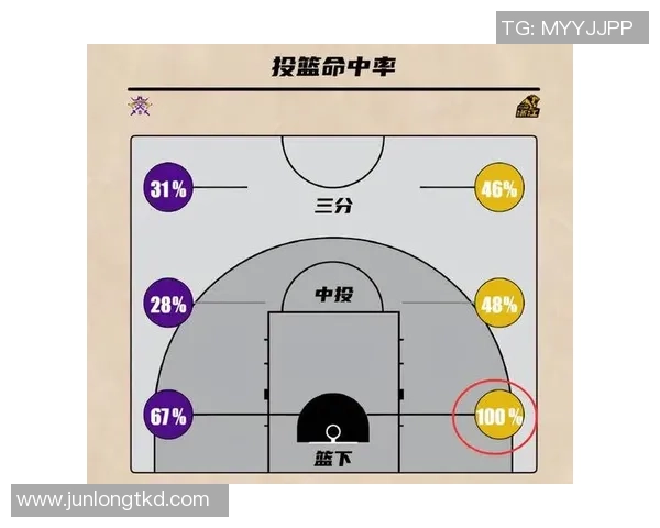 姚明在NBA赛场上的防守能力探讨与评价分析
