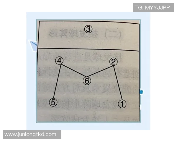 重庆排球队中路突破战术深度分析与实战应用探讨